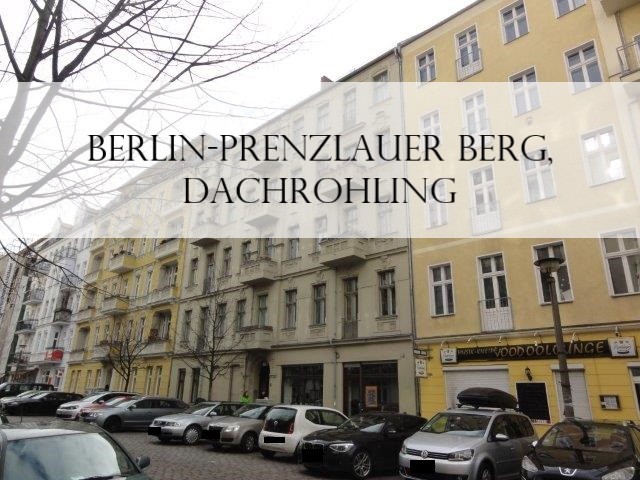 Berlin-Prenzlauer Berg, Dachrohling, Projektentwicklung
